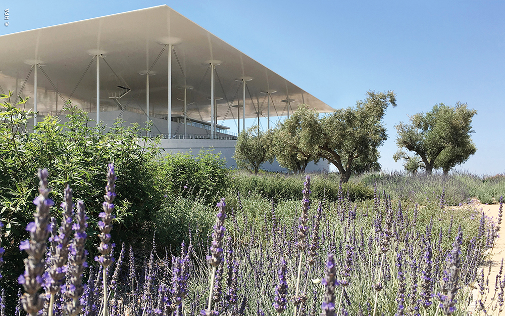 zinco greenroof com4