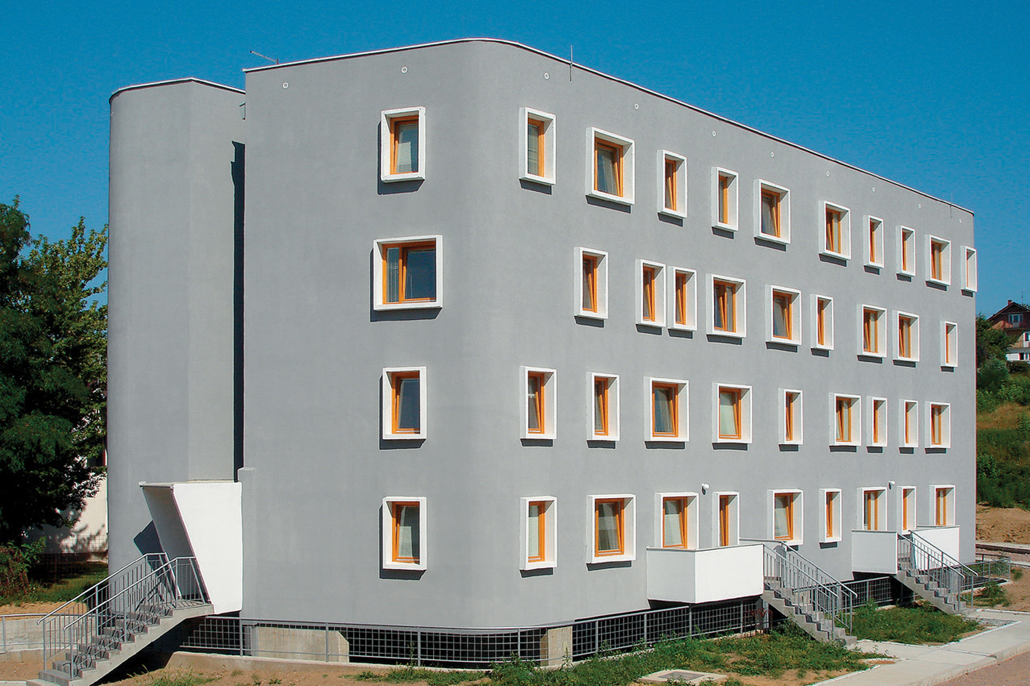 zoran5